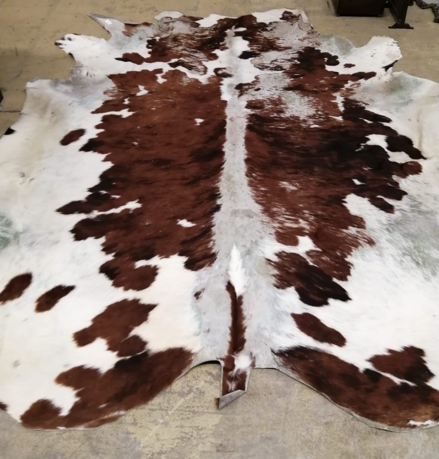 A cow hide rug, width 205cm